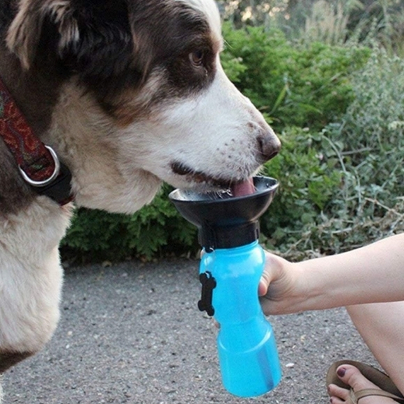 🆕️ High visibility collar and portable watering bottle - Picture 6 of 13